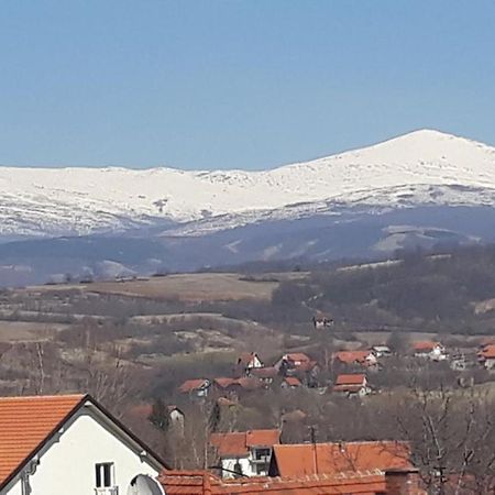 Apartman "Vienna" Сокобаня Экстерьер фото