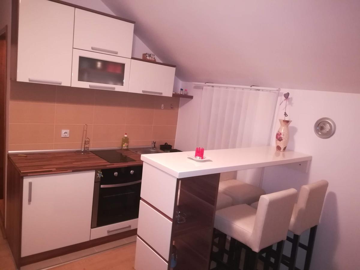 Apartman "Vienna" Сокобаня Экстерьер фото