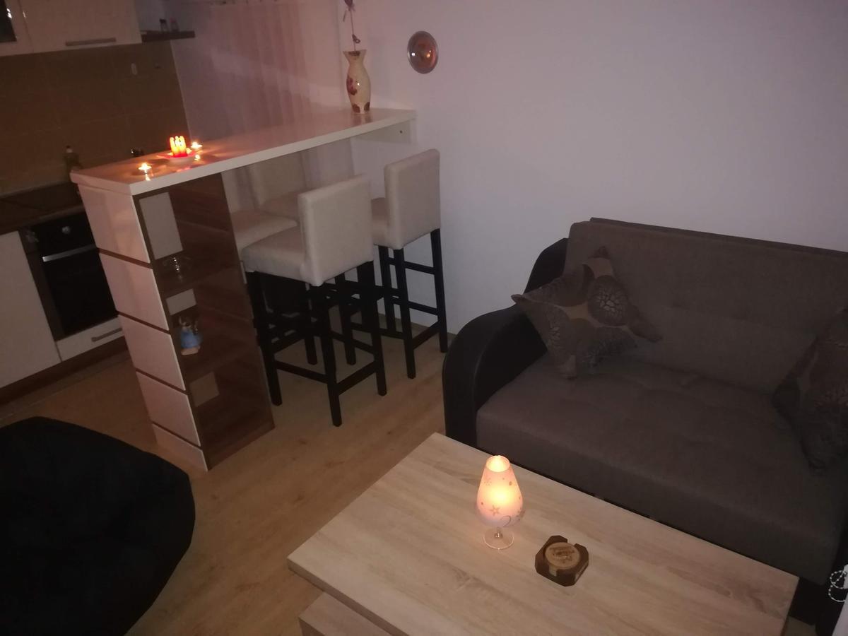 Apartman "Vienna" Сокобаня Экстерьер фото